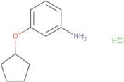 3-(Cyclopentyloxy)aniline hydrochloride