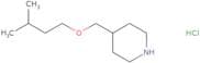 4-[(3-Methylbutoxy)methyl]piperidine hydrochloride
