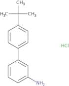 3-(4-tert-Butylphenyl)aniline hydrochloride