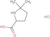 5,5-Dimethylpyrrolidine-2-carboxylic acid hydrochloride