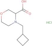 4-(Cyclobutylmethyl)morpholine-3-carboxylic acid hydrochloride