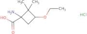 1-Amino-3-ethoxy-2,2-dimethylcyclobutane-1-carboxylic acid hydrochloride