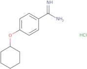 4-(Cyclohexyloxy)benzene-1-carboximidamide hydrochloride