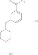 3-(Morpholin-4-ylmethyl)benzene-1-carboximidamide dihydrochloride