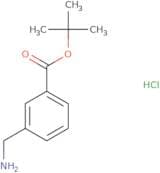 tert-Butyl 3-(aminomethyl)benzoate hydrochloride