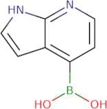 {1H-pyrrolo[2,3-b]pyridin-4-yl}boronic acid