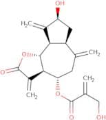 Cynaropicrin - Cynara cardunculus (artichoke)