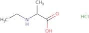 2-(Ethylamino)propanoic acid hydrochloride