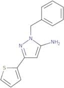1-Benzyl-3-(thiophen-2-yl)-1H-pyrazol-5-amine