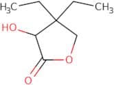 4,4-Diethyl-3-hydroxyoxolan-2-one
