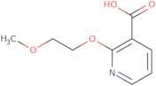 2-(2-Methoxyethoxy)pyridine-3-carboxylic acid