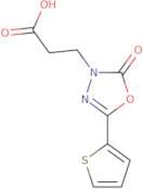 3-[2-Oxo-5-(thiophen-2-yl)-2,3-dihydro-1,3,4-oxadiazol-3-yl]propanoic acid