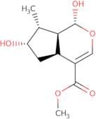 Loganetin - Menyanthes trifoliata (bogbean)