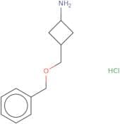 3-[(Benzyloxy)methyl]cyclobutan-1-amine hydrochloride