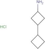 3-Cyclobutylcyclobutan-1-amine hydrochloride