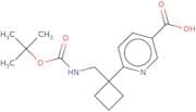 6-[1-({[(tert-Butoxy)carbonyl]amino}methyl)cyclobutyl]pyridine-3-carboxylic acid