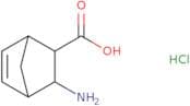 Exo-cis-3-aminobicyclo[2.2.1]hept-5-ene-2-carboxylic acid hydrochloride