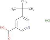 5-tert-Butylpyridine-3-carboxylic acid hydrochloride