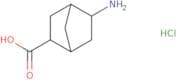 rac-(1R,2R,4R,5R)-5-Aminobicyclo[2.2.1]heptane-2-carboxylic acid hydrochloride