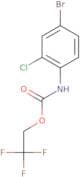 2,2,2-Trifluoroethyl N-(4-bromo-2-chlorophenyl)carbamate