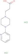 3-[4-(Pyridin-2-yl)piperazin-1-yl]propanoic acid dihydrochloride