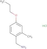 (2-Methyl-4-propoxyphenyl)methanamine hydrochloride