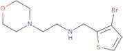 [(3-Bromothiophen-2-yl)methyl][2-(morpholin-4-yl)ethyl]amine