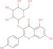 Kaempferol-3-o-galactoside