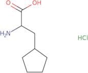 2-Amino-3-cyclopentylpropanoic acid hydrochloride