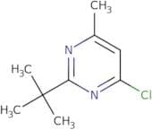 2-tert-Butyl-4-chloro-6-methylpyrimidine