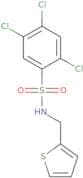 (2-thienylmethyl)((2,4,5-trichlorophenyl)sulfonyl)amine