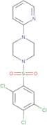 2,4,5-trichloro-1-((4-(2-pyridyl)piperazinyl)sulfonyl)benzene