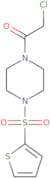 2-Chloro-1-[4-(thiophene-2-sulfonyl)piperazin-1-yl]ethan-1-one