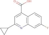 2-Cyclopropyl-7-fluoroquinoline-4-carboxylic acid