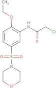 2-Chloro-N-[2-ethoxy-5-(morpholine-4-sulfonyl)phenyl]acetamide