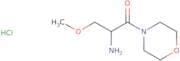 2-Amino-3-methoxy-1-(morpholin-4-yl)propan-1-one hydrochloride