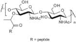 Peptidoglycan - from Staphylococcus aureus