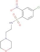 4-chloro-N-[2-(morpholin-4-yl)ethyl]-2-nitrobenzene-1-sulfonamide