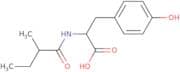 (2S)-3-(4-Hydroxyphenyl)-2-(2-methylbutanamido)propanoic acid