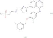 GW 583340 Dihydrochloride