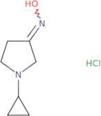 N-(1-Cyclopropylpyrrolidin-3-ylidene)hydroxylamine hydrochloride