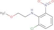2-Chloro-N-(2-methoxyethyl)-6-nitroaniline