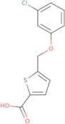 5-(3-Chlorophenoxymethyl)thiophene-2-carboxylic acid