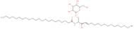 c22 Galactosylceramide (d18:1/22:0)