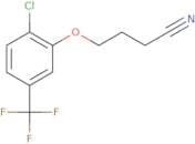 N-Desbispropyl-N-pentyl-2-methyl ropinirole