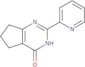 2-(Pyridin-2-yl)-3H,4H,5H,6H,7H-cyclopenta[D]pyrimidin-4-one