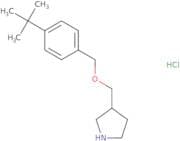 N-(3,4-Dimethylphenyl)-2-oxo-3,4-dihydro-1H-quinoline-6-sulfonamide