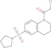 2-Chloro-1-[6-(pyrrolidine-1-sulfonyl)-1,2,3,4-tetrahydroquinolin-1-yl]ethan-1-one