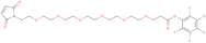 Mal-PEG6-PFP