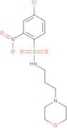 ((4-chloro-2-nitrophenyl)sulfonyl)(3-morpholin-4-ylpropyl)amine